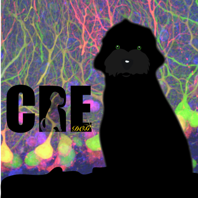 Cre Dog