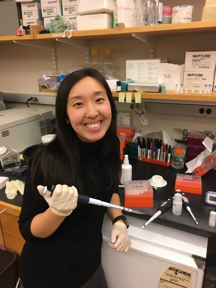 Michelle Chung : Howard Hughes Medical Research Fellow
