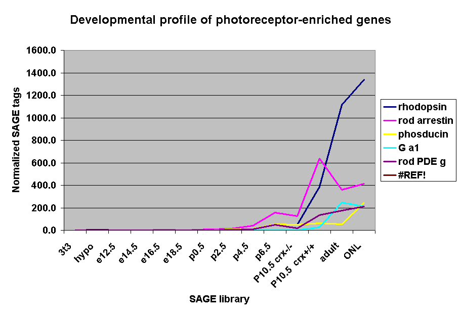 Developmental profile of photoreceptor-enriched genes