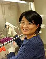 Sophia Zhao : Research Technician